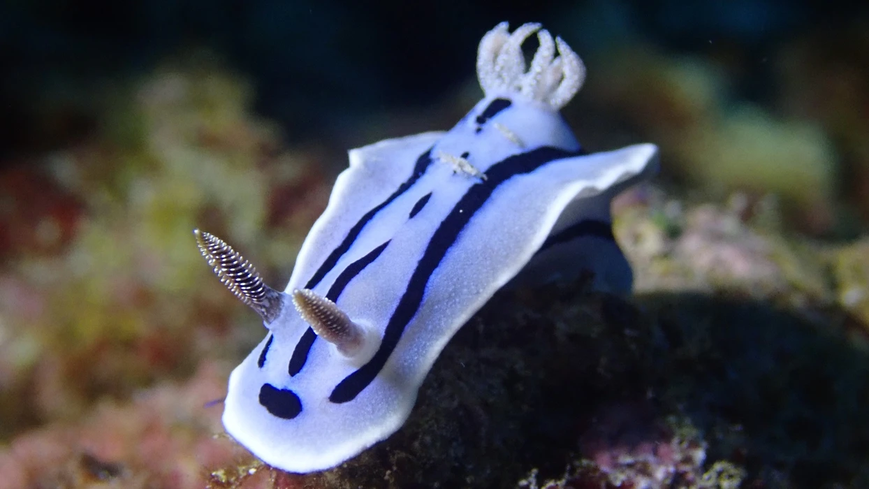 画像324