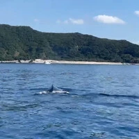 画像330