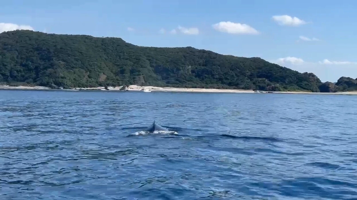 画像330