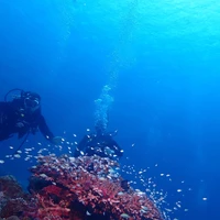 画像389