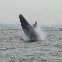 画像393