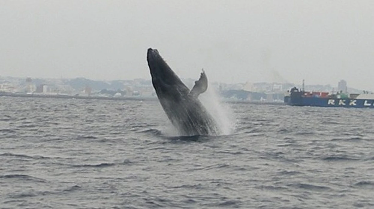 画像393
