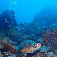画像402