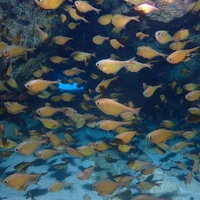 画像408
