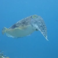 画像427