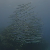 画像440