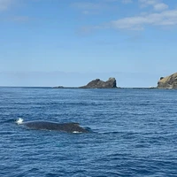 画像447