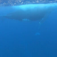 画像493