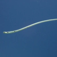 画像497