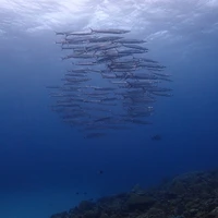 画像502