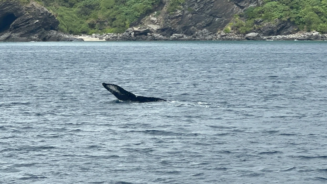 画像512