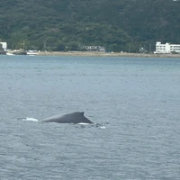 画像514