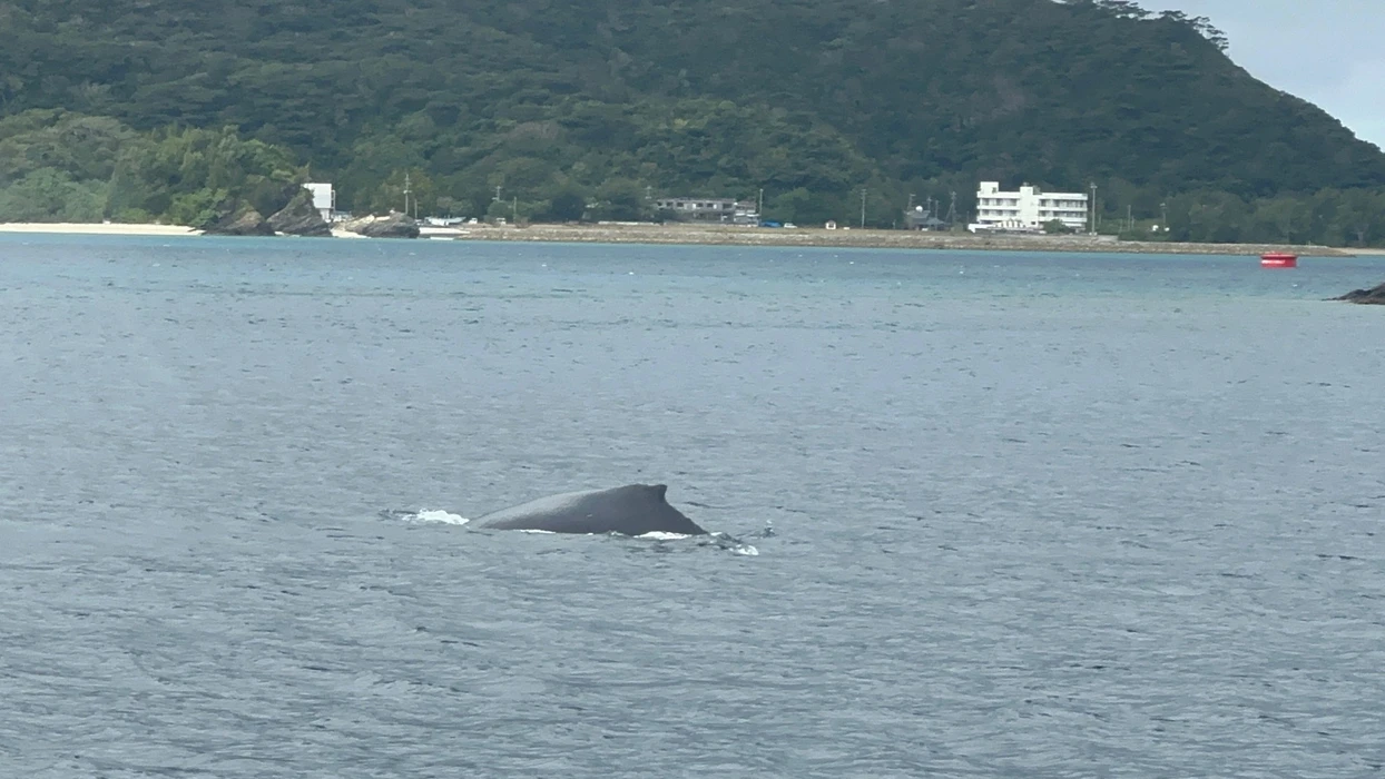 画像514