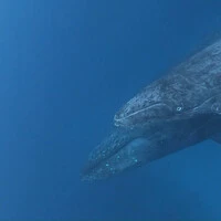 画像532