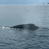 画像535