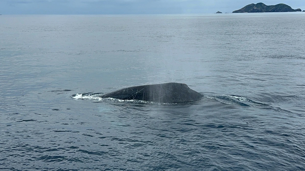 画像535