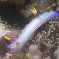 画像549