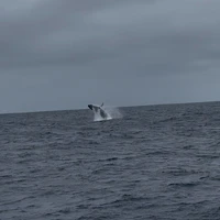 画像558