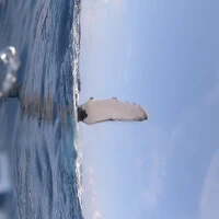 画像571