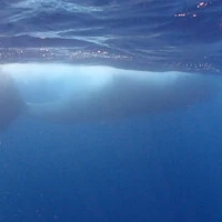 画像572
