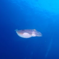 画像576