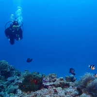 画像582
