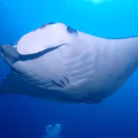 画像619