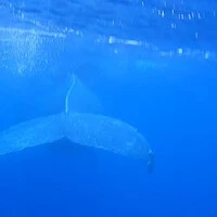 画像661