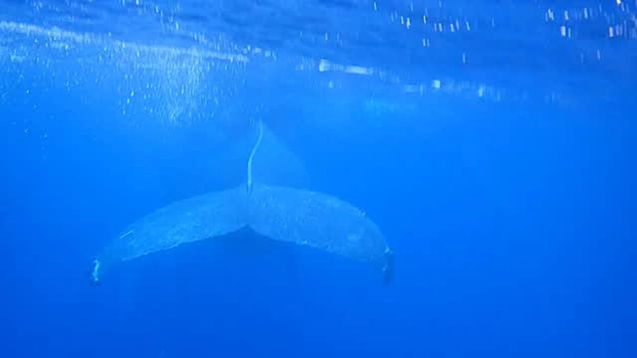 画像661