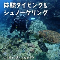 画像716