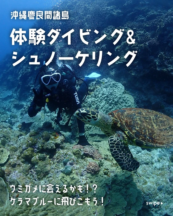画像716