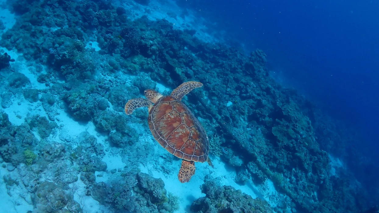 画像727