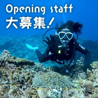 画像743