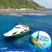 画像744
