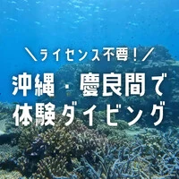 画像755