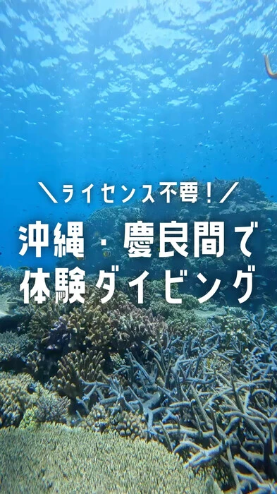 画像755