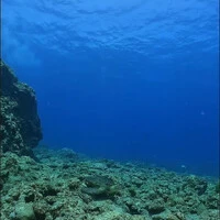 画像764