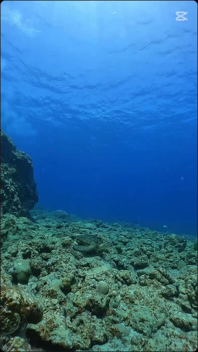 画像764