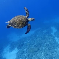 画像780