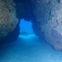 画像916