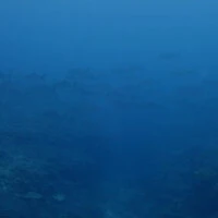 画像939
