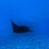 画像986