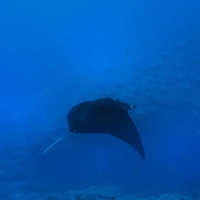 画像987