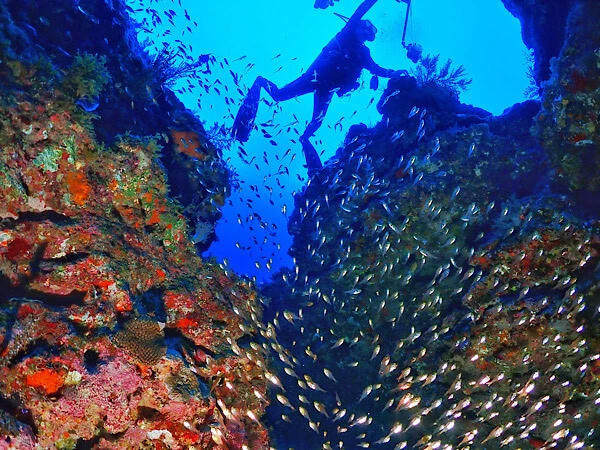非日常を体験する、海の中の冒険へようこそ