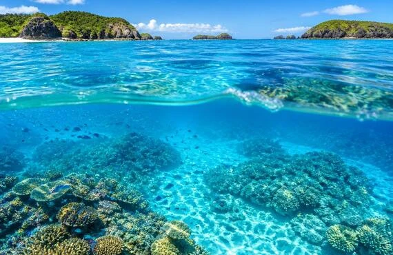 沖縄の美しい海を体感！慶良間諸島で体験ダイビングとシュノーケリング
